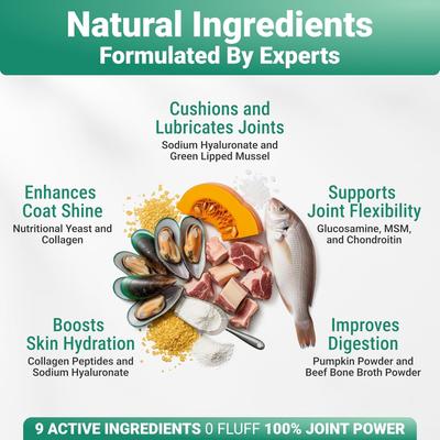 Skin & Coat Supplement Collagen Powder, 2-oz