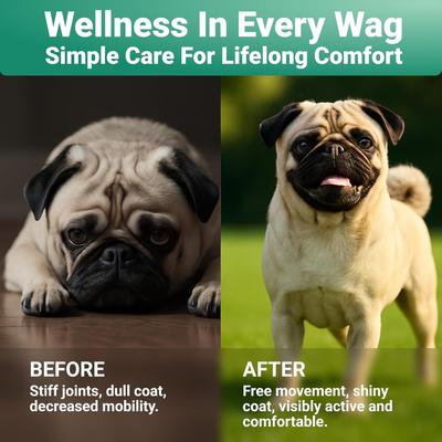 Skin & Coat Supplement Collagen Powder, 2-oz