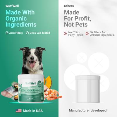 Skin & Coat Supplement Collagen Powder, 2-oz