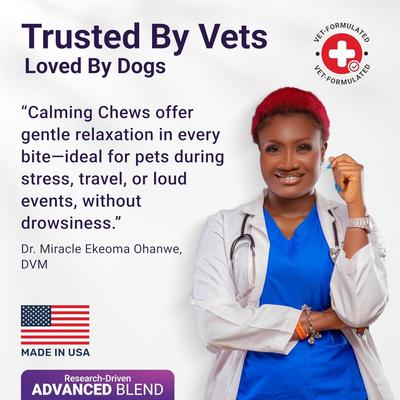 Calming Supplement Chews for Dogs, 140 count