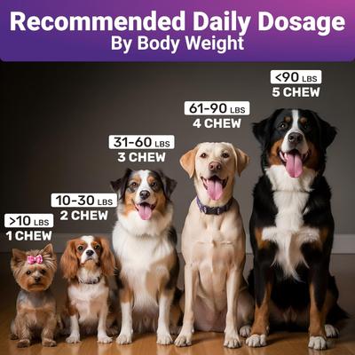 Calming Supplement Chews for Dogs, 140 count