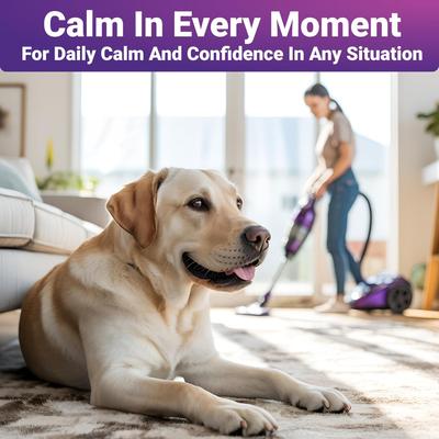 Calming Supplement Chews for Dogs, 140 count