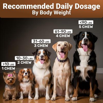 Mighty Mushroom Supplement Chews for Dogs, 140 count