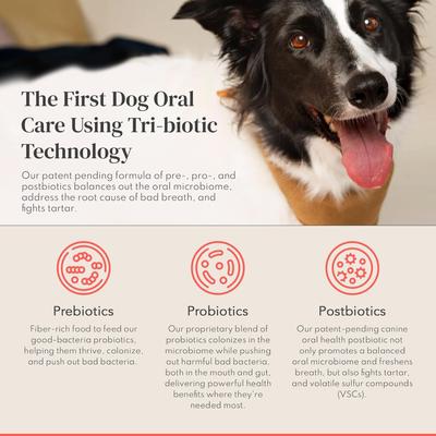 Bye Bye Dog Breath Dental Powder for Dogs, 120-g jar