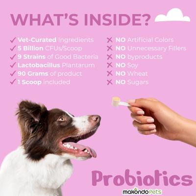 5B Digestive Health Probiotic Dog Supplement, 3.17-oz jar