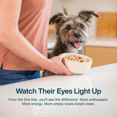 Alimento fresco para cachorros con pescado y pollo, paquete variado, bolsa de 18 oz, caja de 7