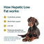 Alimento fresco para perros de grado humano congelado bajo en grasa Veterinary Diet Hepatic Support, bolsa de 18 oz, caja de 7