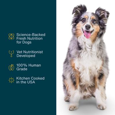 Puppy Variety Pack Fish & Chicken Fresh Puppy Food, 18-oz pouch, case of 7