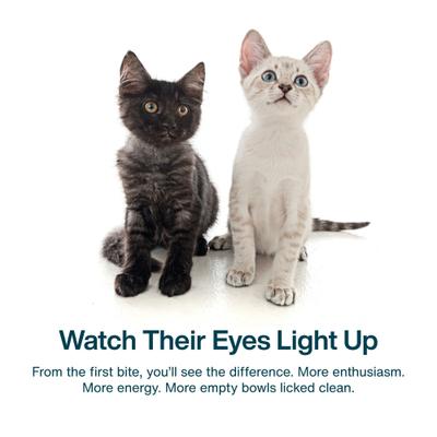 Fish & Chicken Recipe Frozen Human-Grade Fresh Cat Food, 18-oz pouch, case of 7