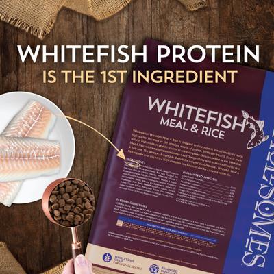 Fish Meal & Rice Formula Adult Dry Dog Food, 40-lb bag