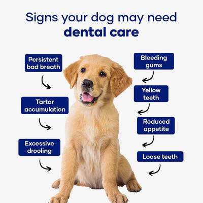 Dental Powder Supplement for Dogs, 120-g jar