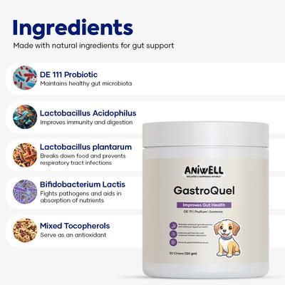 GastroQuel Chew Digestive Aid for Dogs, 30 count
