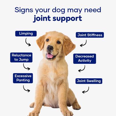 Power Pack Hip & Joint Formula & Muscle Formula Chew Supplement for Dogs, 60 count