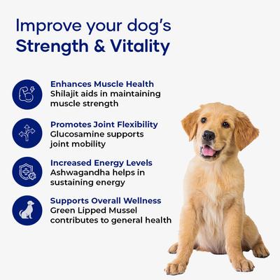 MyoQuin Powder Weight Management Supplement for Dogs, 120-g jar