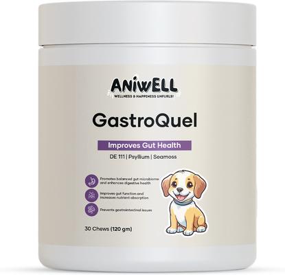 GastroQuel Chew Digestive Aid for Dogs, 30 count