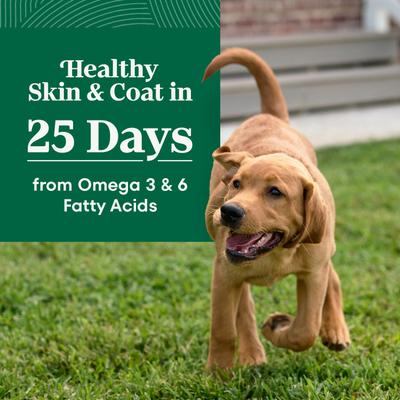 Natural Choice Puppy Large Breed Chicken & Brown Rice Recipe Dry Dog Food, 13-lb bag