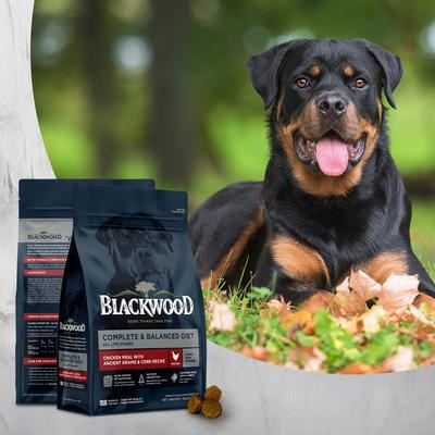 Complete & Balanced Diet Adult Chicken Meal with Ancient Grains & Corn Recipe Dry Dog Food, 48-lb bundle