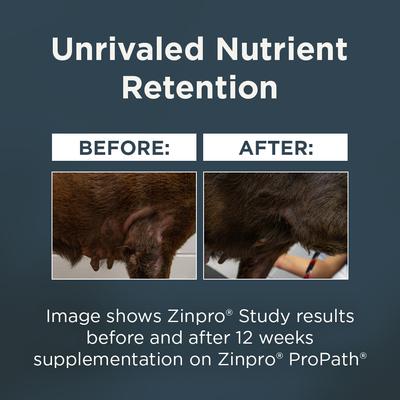 Complete & Balanced Diet Adult Chicken Meal with Ancient Grains & Corn Recipe Dry Dog Food, 48-lb bundle