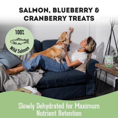 Salmon, Blueberry, & Cranberry Grain-Free Dehydrated Dog & Cat Treats, 2.82-oz bag