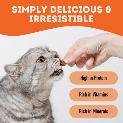 Pumpkin Grain-Free Dehydrated Dog & Cat Treats, 2.82-oz bag