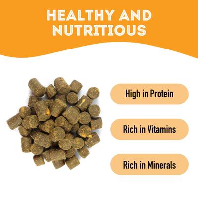 It's like a Healthy Bacon Cheeseburger Pork & Cheese Soft Chew Dog & Cat Treats, 6.17-oz bag