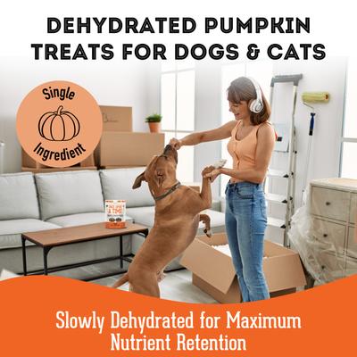 Pumpkin Grain-Free Dehydrated Dog & Cat Treats, 2.82-oz bag