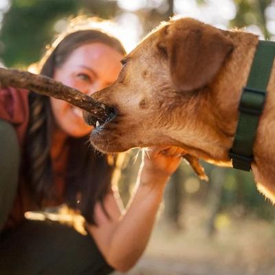 Zoom Boost Electrolyte Liquid Supplement & Refill for Dogs, 7.7-fl oz & 500-mL bottles