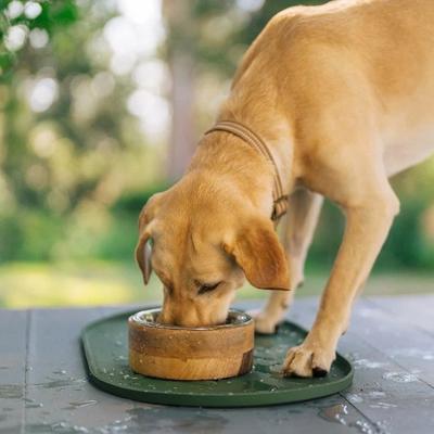 Zoom Boost Electrolyte Liquid Supplement & Refill for Dogs, 7.7-fl oz & 500-mL bottles