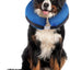 Collar inflable protector para recuperación de mascotas, suave y no obstruye la visión, para perros y gatos, color rosquilla y fresa, grande