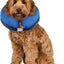 Collar inflable protector para recuperación de mascotas, suave y no obstruye la visión, para perros y gatos, color rosquilla y fresa, grande