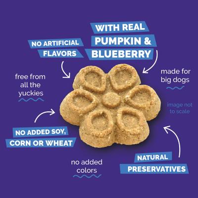 Biggies with Real Pumpkin & Blueberry Dog Treats, 16-oz bag