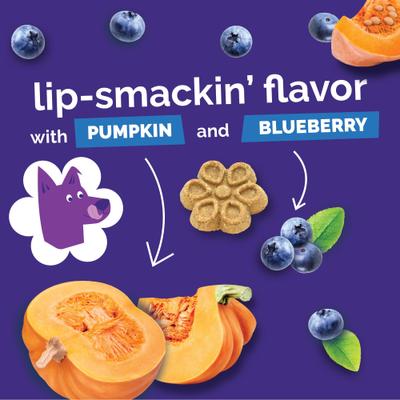 Biggies with Real Pumpkin & Blueberry Dog Treats, 16-oz bag