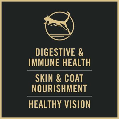 Adult Salmon & Rice Formula Dry Cat Food, 7-lb bag