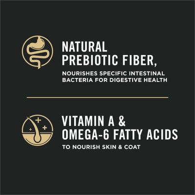 Adult Shredded Blend Salmon & Rice Formula Dry Cat Food, 3.2-lb bag