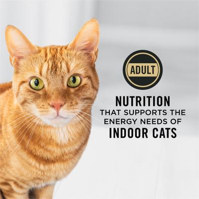 Adult Indoor Hairball Management Turkey & Rice Formula Dry Cat Food, 7-lb bag