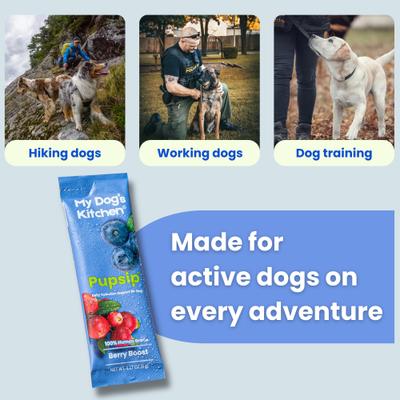 Berry Boost Natural Electrolytes & Hydration Mix Powder Supplement for Dogs, 12 count