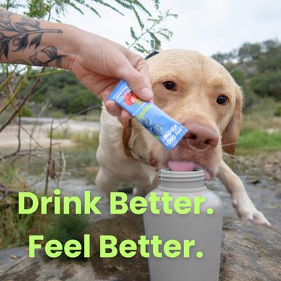 Berry Boost Natural Electrolytes & Hydration Mix Powder Supplement for Dogs, 12 count