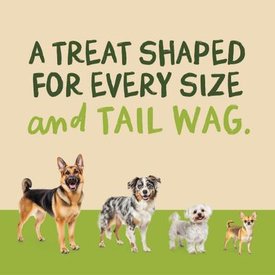 Grain-Free Chik 'n Chips Dog Treats, 1-lb bag, bundle of 2