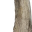 Deer Antler Whole Natural Chew Treats, Small