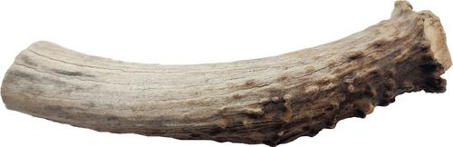 Deer Antler Whole Natural Chew Treats, Small