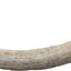Deer Antler Whole Natural Chew Treats, Small