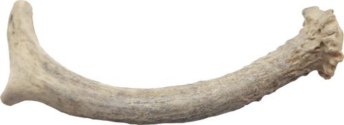 Deer Antler Whole Natural Chew Treats, Small