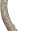 Deer Antler Whole Natural Chew Treats, Small