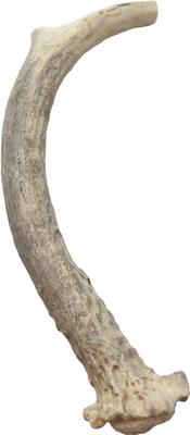 Deer Antler Whole Natural Chew Treats, Small