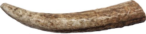 Elk Antler Whole Natural Chew Treats, Small