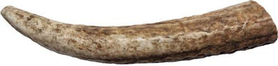 Elk Antler Whole Natural Chew Treats, Small
