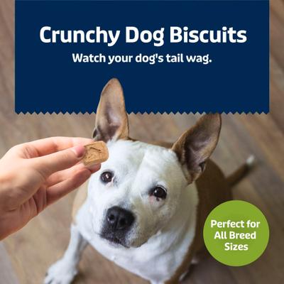 Health Bars Apple & Yogurt Mini Dog Treats, 2-lb box