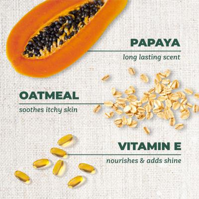 PURE Cuddly Clean Odor Control Dog & Cat Shampoo, 22-fl oz bottle