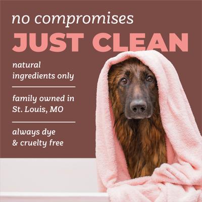 PURE Crisp & Clean Fresh Hypoallergenic Dog & Cat Shampoo, 22-fl oz bottle