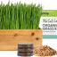 Cat Grass Kit & Decorative Wood Planter, Natural